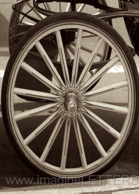 Wall_Art_Alphabet_Photography_Art_ 1550.jpg
